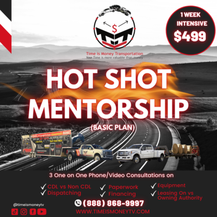 Mentorship Program-Basic Plan